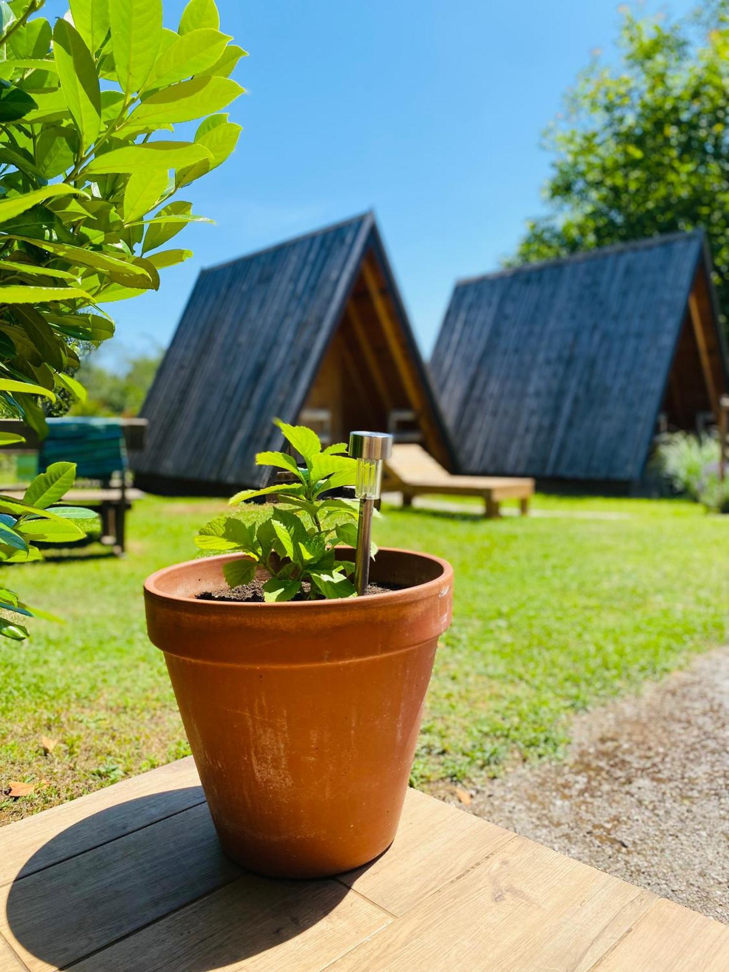 Rooms & Glamping Lana Haus Licko Petrovo Selo Eksteriør billede