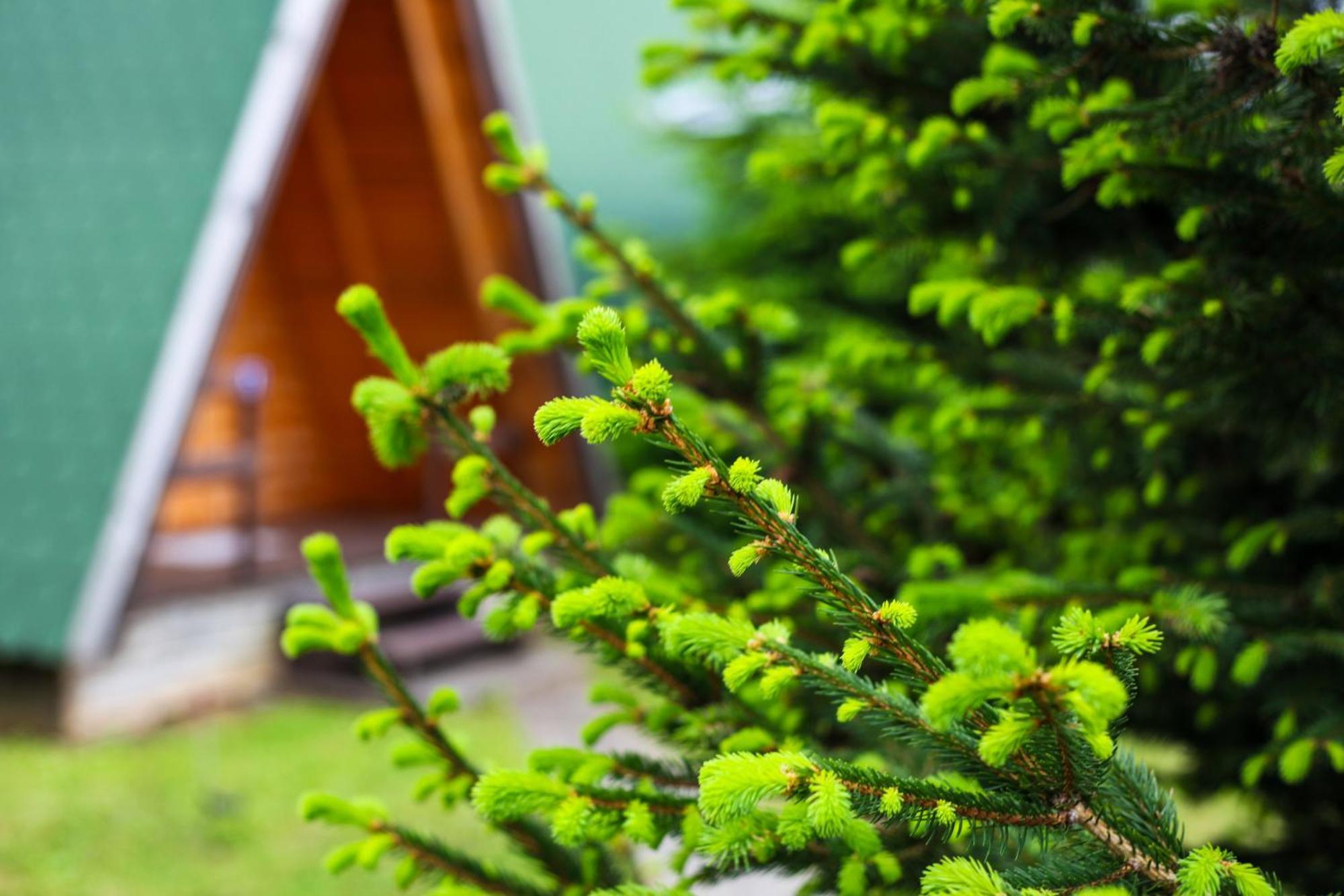 Rooms & Glamping Lana Haus Licko Petrovo Selo Eksteriør billede